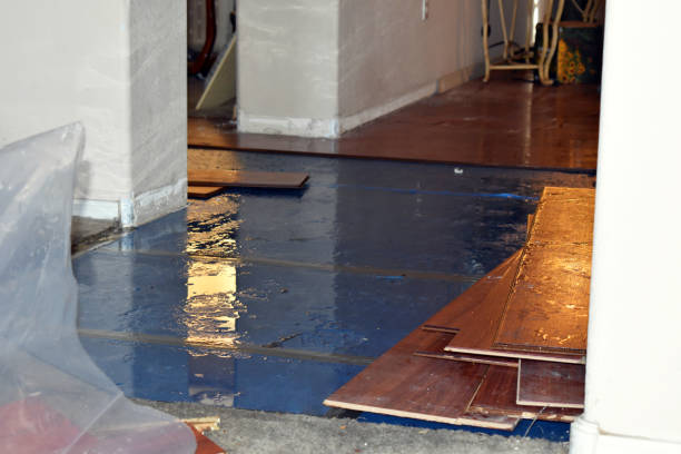 Professional Basement Flood Cleanup technician working in Eidson, TN